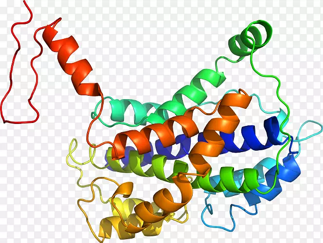 �����߶����������-������