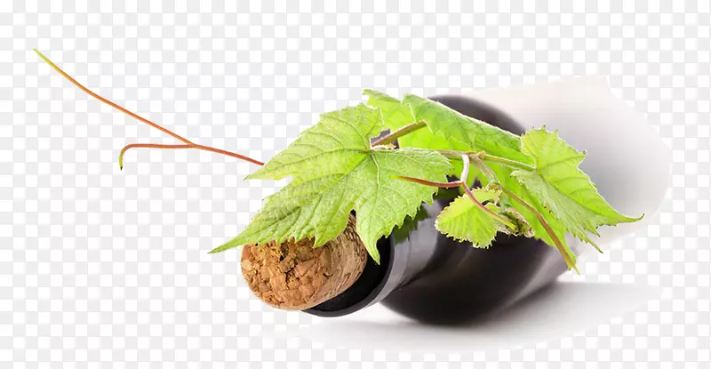 �����Ѿƺ����Ѿ�-������