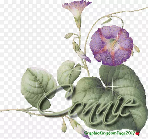 Elen o be sha-��-������