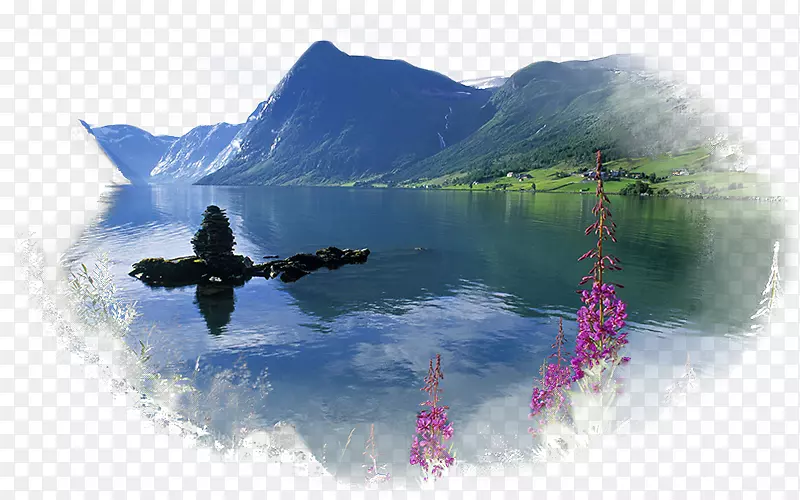 �����ֽ������Ӱ-������