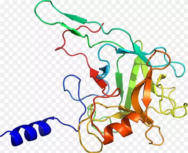 �ߵ������������-������