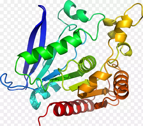 ���������л����߼�������-������