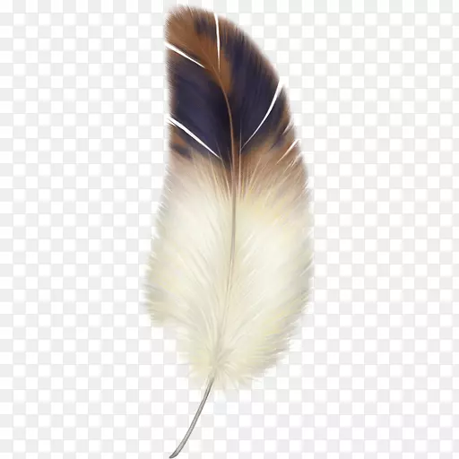 ֽ��ë-������