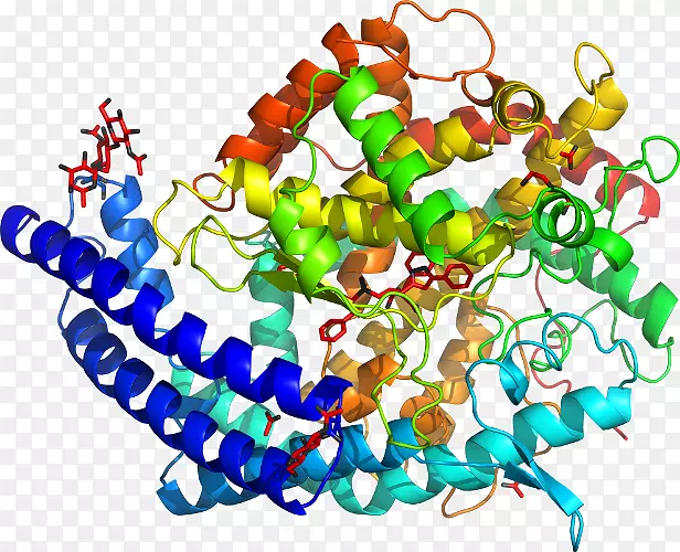 ���������鱦���л����������-������