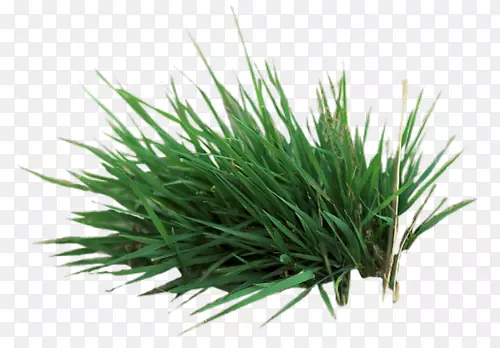 �������-������