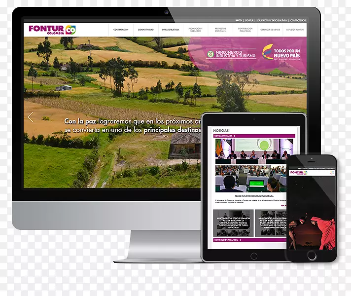 ��ý����ҳ�������չʾ���-������