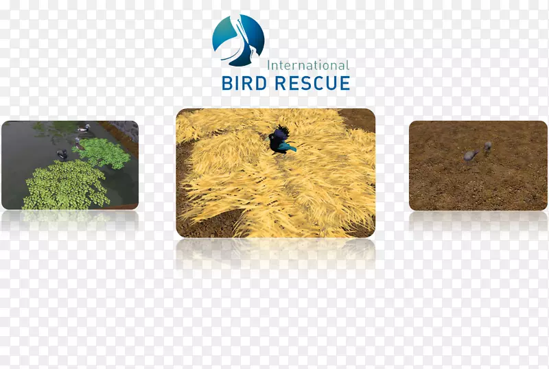 ������Ұ��-������