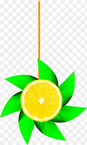 ����ֲ��ˮ�����������-������