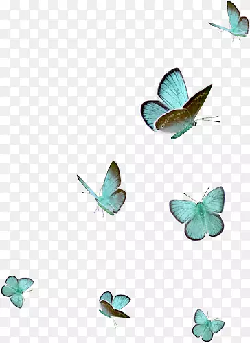 ����ʯ���-������