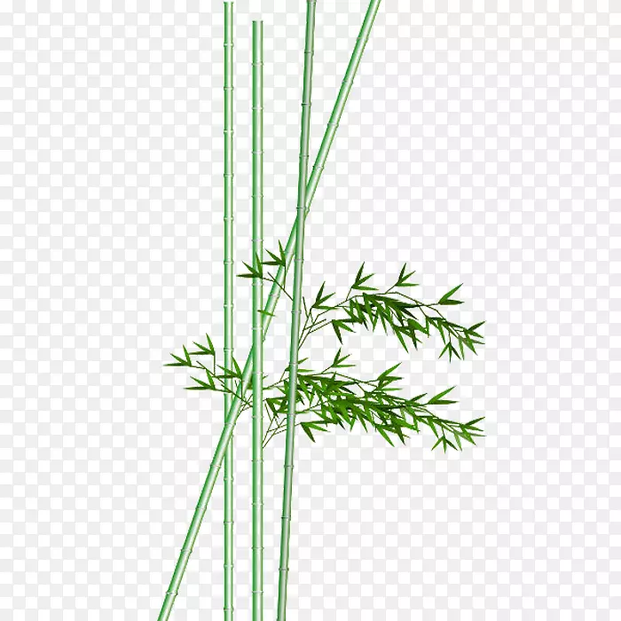 ����ˮ�ʻ�ˮī��.����ˮ�ʻ�-������