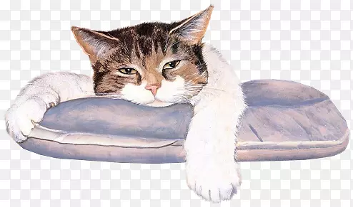 Orkut������ƬͰ-����-������