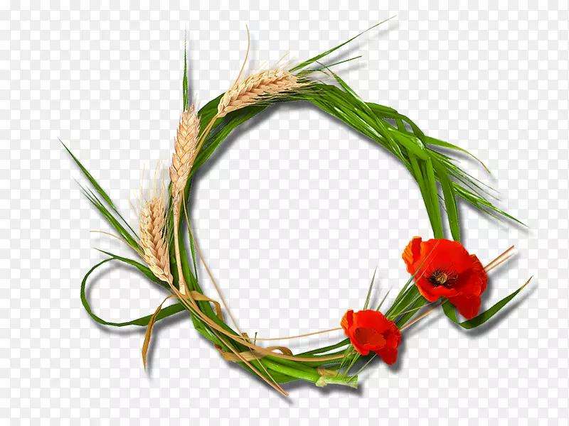 �����Ӱ����-������