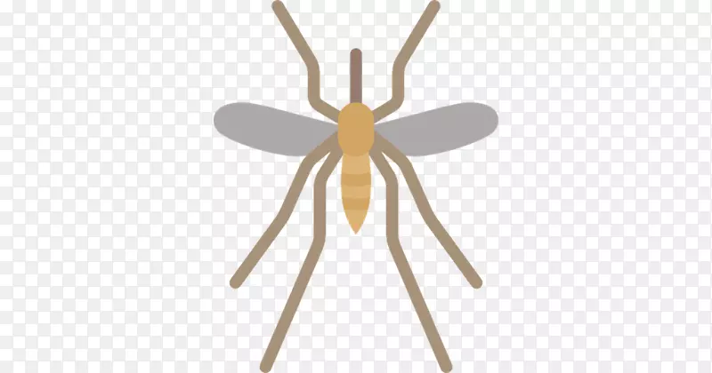 �ó涯�����-����-������