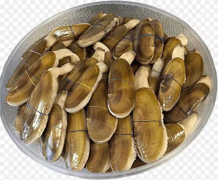 ̫ƽ���굶���ݱ����͸��۱���-������