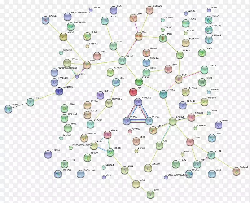 ���ϳ��������ߵ�����-������