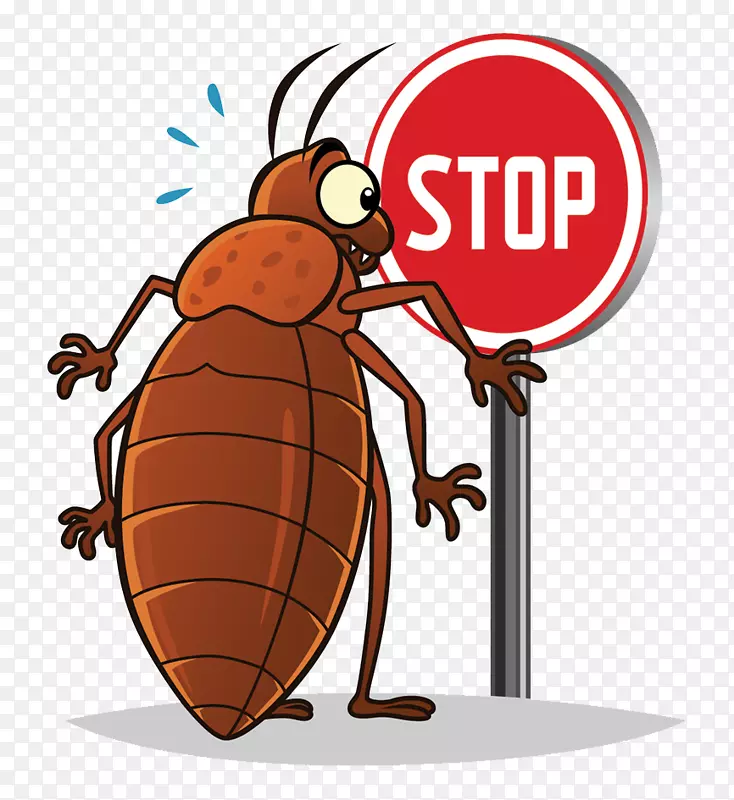 ���洲�������-������