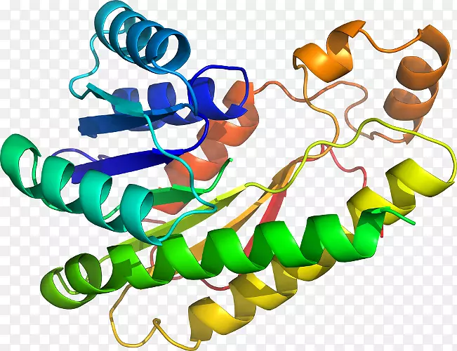 ���������л����߼�������-������