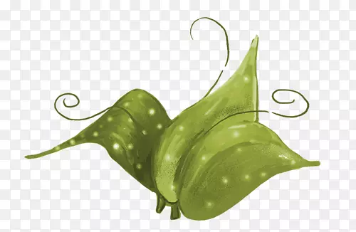 �߲�Ҷ����-������