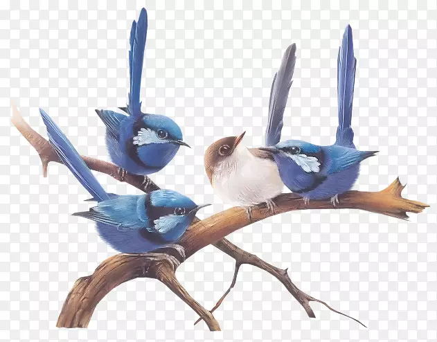 һ��Ĵ��������С���廭-��-������