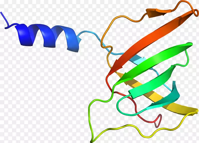 �ߵ������-��-������