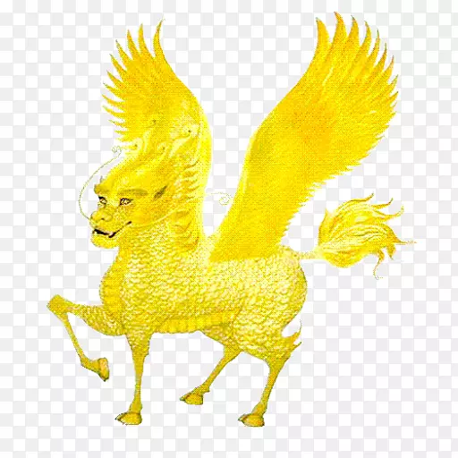 ��ë����Ϊʳ��-��ë-������