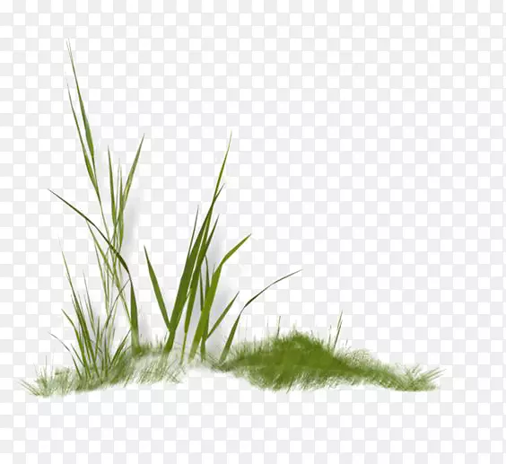 ������-�̲�-������