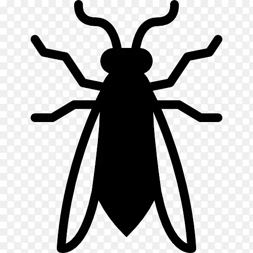 ����ͼ���������������-������