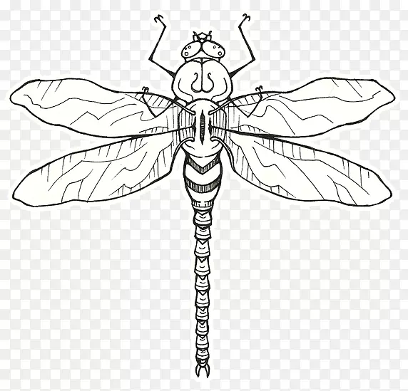 ���洫������������������-������