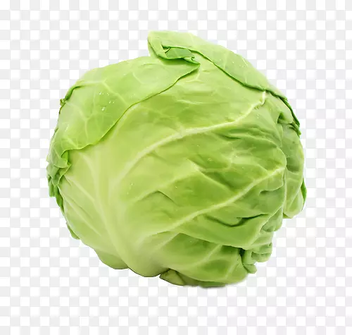 С�ײˡ�Ҷ�ˡ��߲�-������