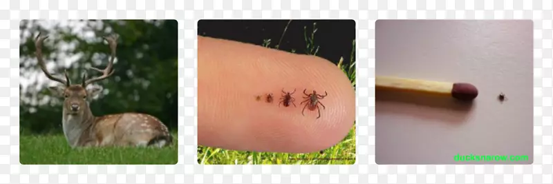 ֽ����Ұ������-����-������