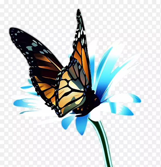 ���������������԰��-������