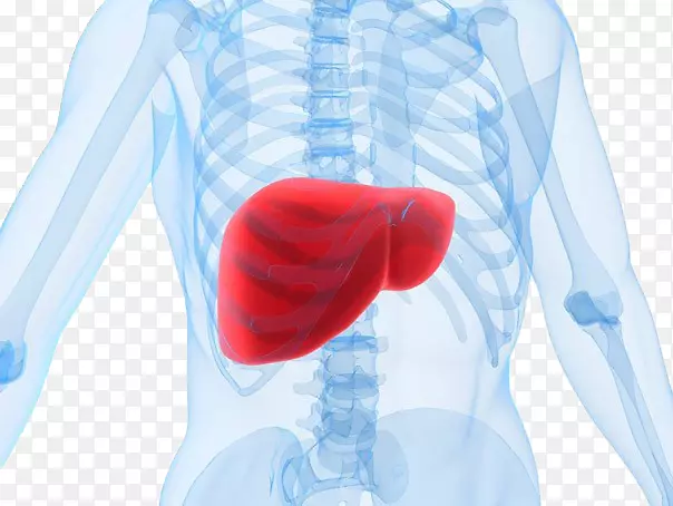 �ⶾ�װ��Ӹ�ʳƷ����-������