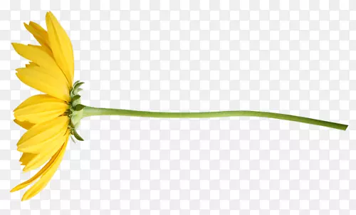 �����㻨�������-��-������