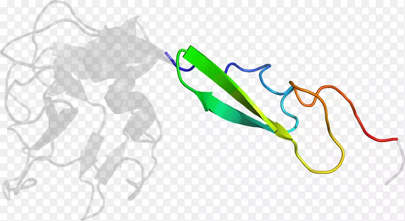 �ߵ������-��-������