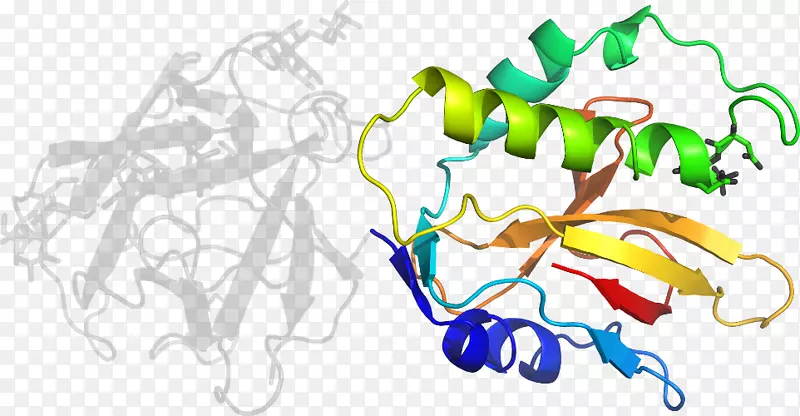 ƽ����Ƽ�����.���-������