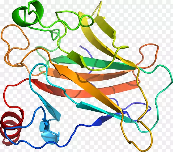 �ߵ������������-������