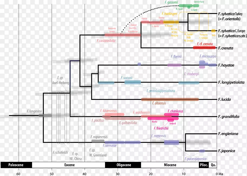 ϵͳ������ʯ������ϵͳ��������ϵͳ������-������