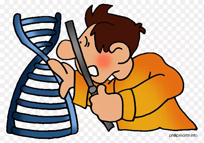 DNA����˫������ѧ������-������