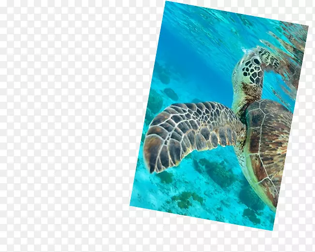 ˮ��Ǳˮ�������򺣹�Ǳˮ-������