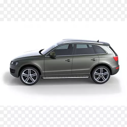 �µ�Q5��������˹��϶�������-������