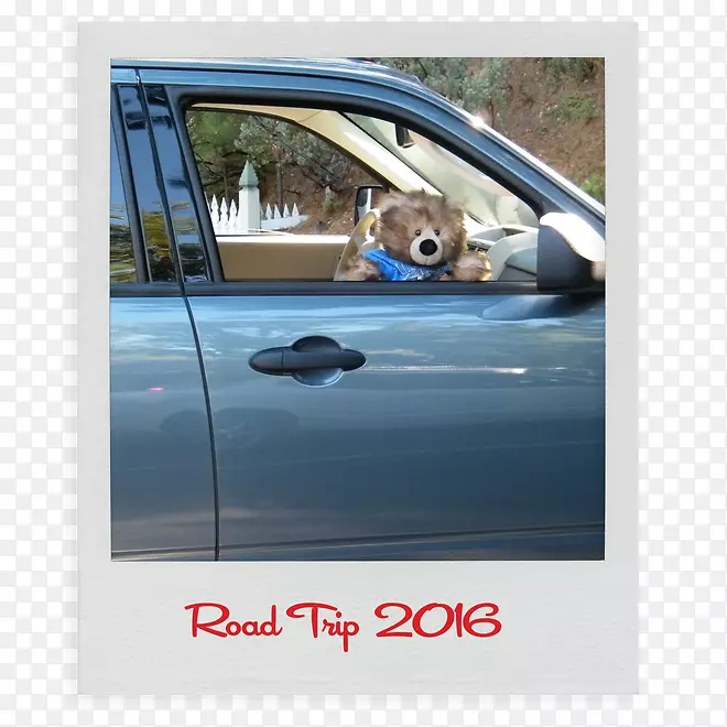 ���˳��ų������Ӿ���-������