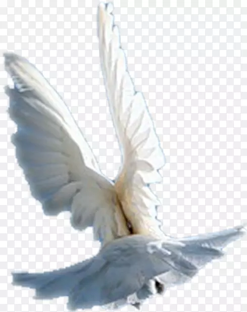 ���β��-������