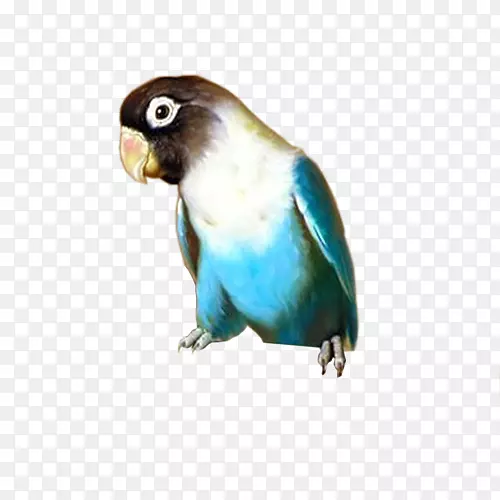 ���Ĳ���-��-������