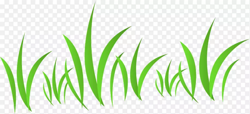 ����-��-������