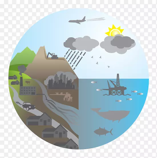 ��̬����ͼ��ϵͳ��̬ѧ��Ȼ����-������