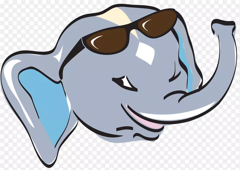 Ȯ�Ǽ�����-����-������