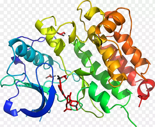 ���������л����߼�������-������