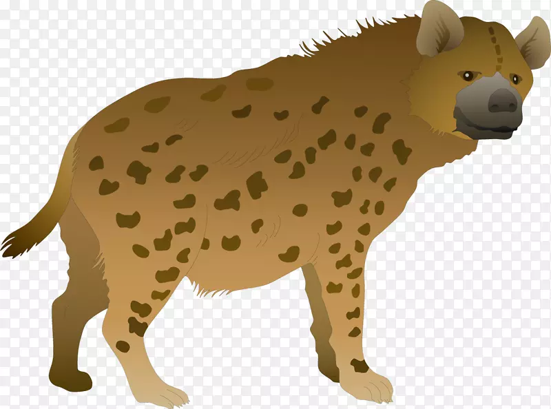 è�ض��������-����-������