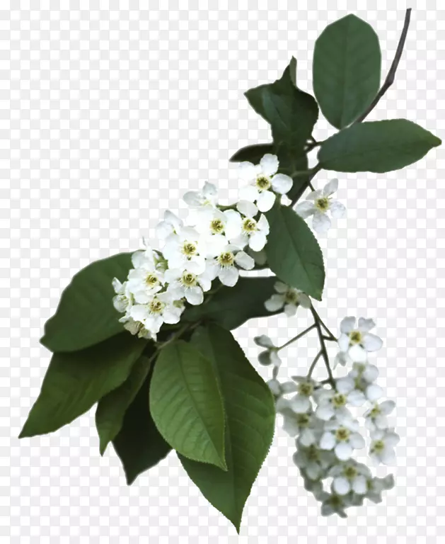 ������-������