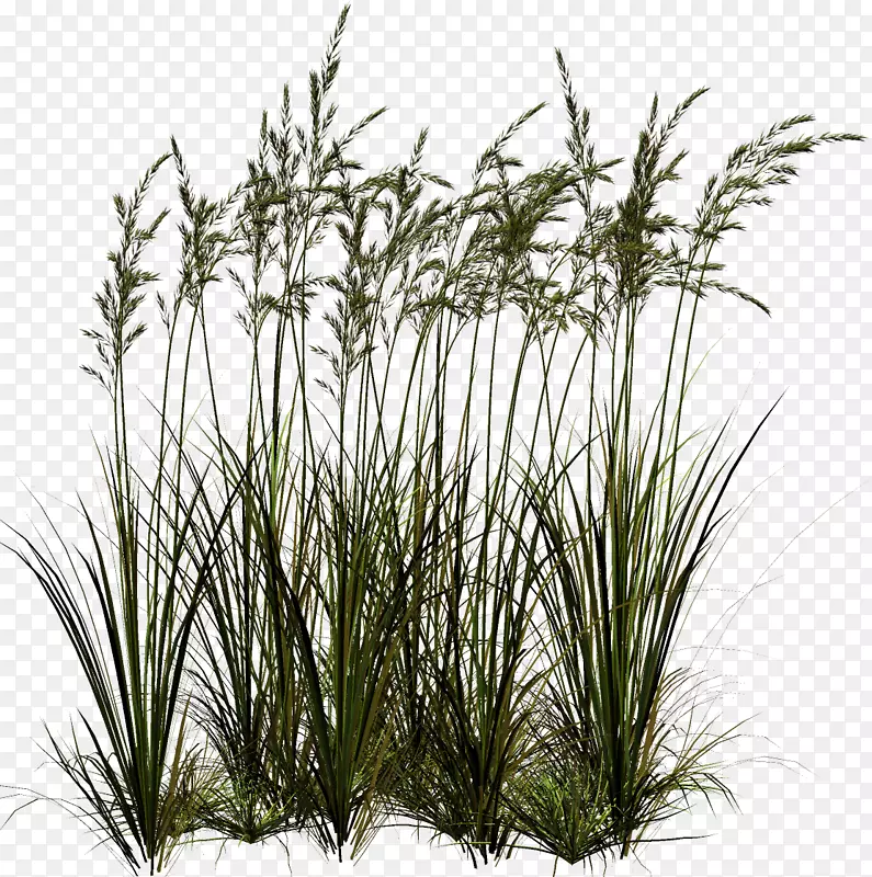 ������-l-������